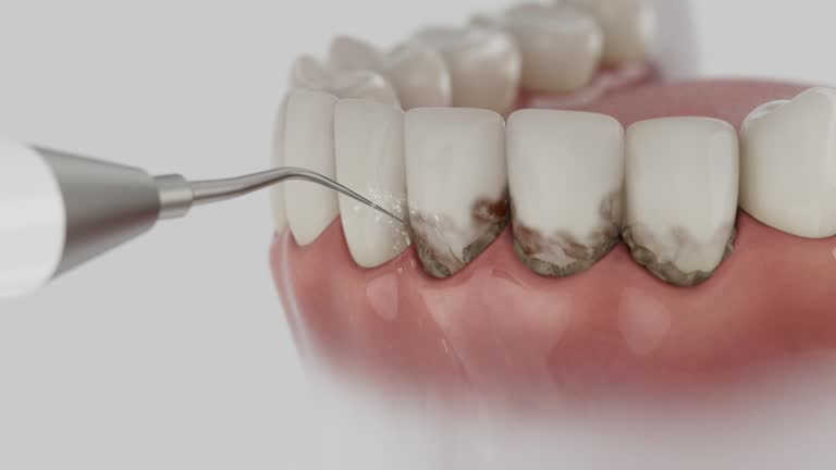 Reliable Dental contractor in Conneaut Lakeshore, PA by Dentist Open Now